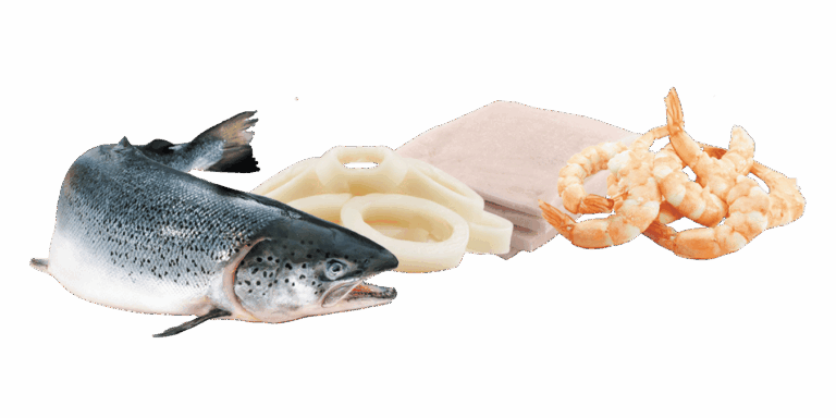 Seafood